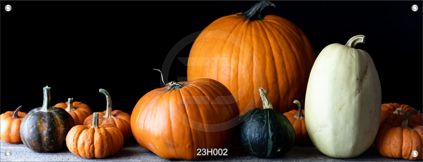 Wandbild Poster Banner Indoor/Outdoor 60x160 cm Kürbis Kürbisse Herbst