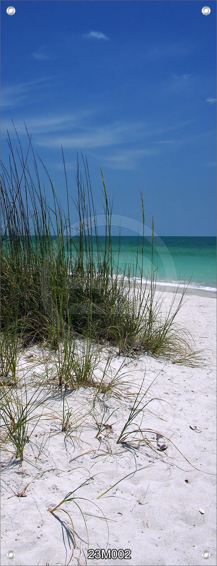 Meer Wandbild Bild Banner Druck XXL 160x60 cm Sandstrand Meer Gräser