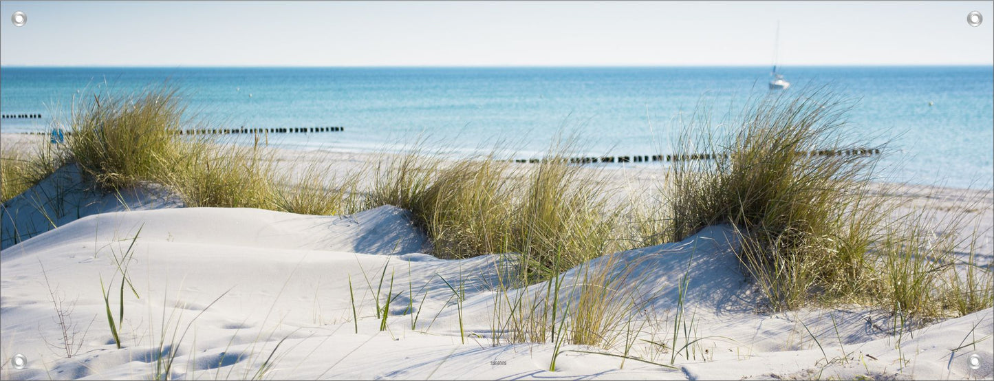 MEER WANDBILDER POSTER DEKO BILDER XXL 160x60 STRAND DÜNEN GRÄSER