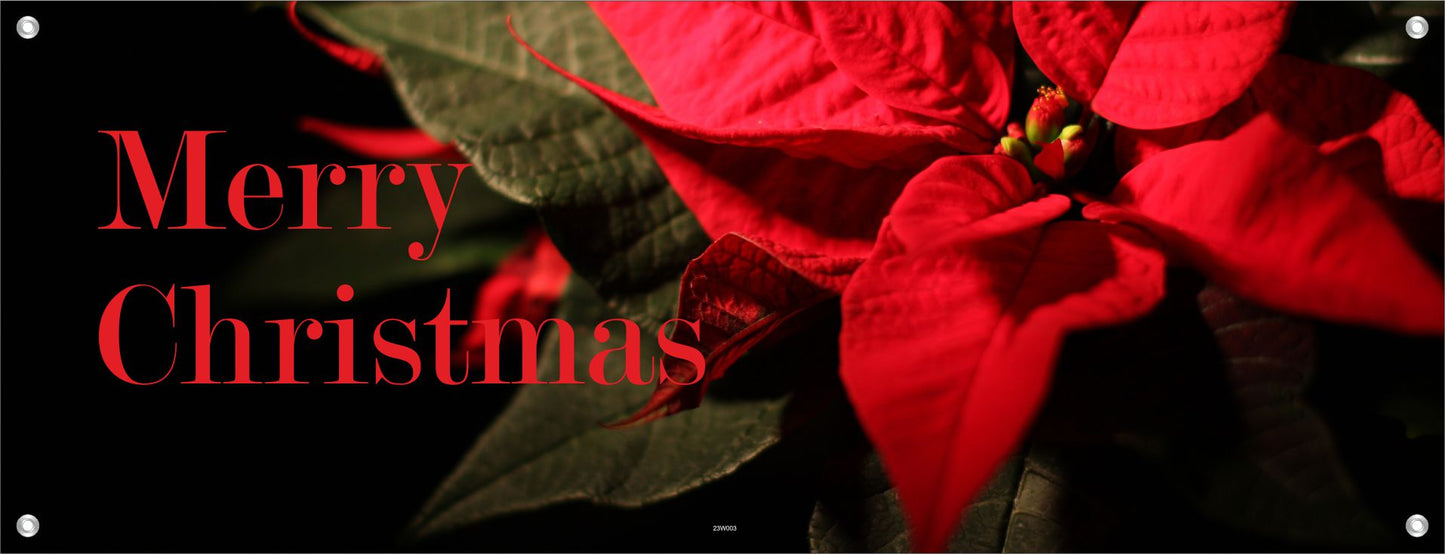 WEIHNACHTEN WANDBILDER POSTER DEKO BILDER XXL 160x60 WEIHNACHTSSTERN ROT