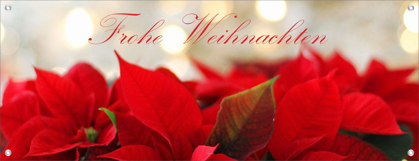 WEIHNACHTEN WANDBILDER POSTER DEKO BILDER XXL 160x60 WEIHNACHTSTERNE SCHRIFT