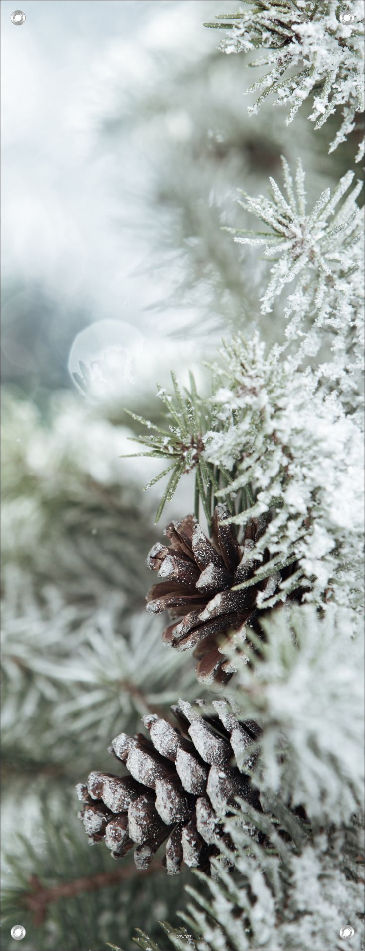 WEIHNACHTEN WANDBILDER POSTER DEKO BILDER XXL 60x160 WINTER SCHNEE ZAPFEN