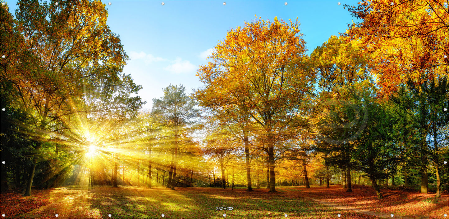Outdoor Bild Banner Garten Zaun Sichtschutz 370x180 cm Herbst Landschaft Sonne