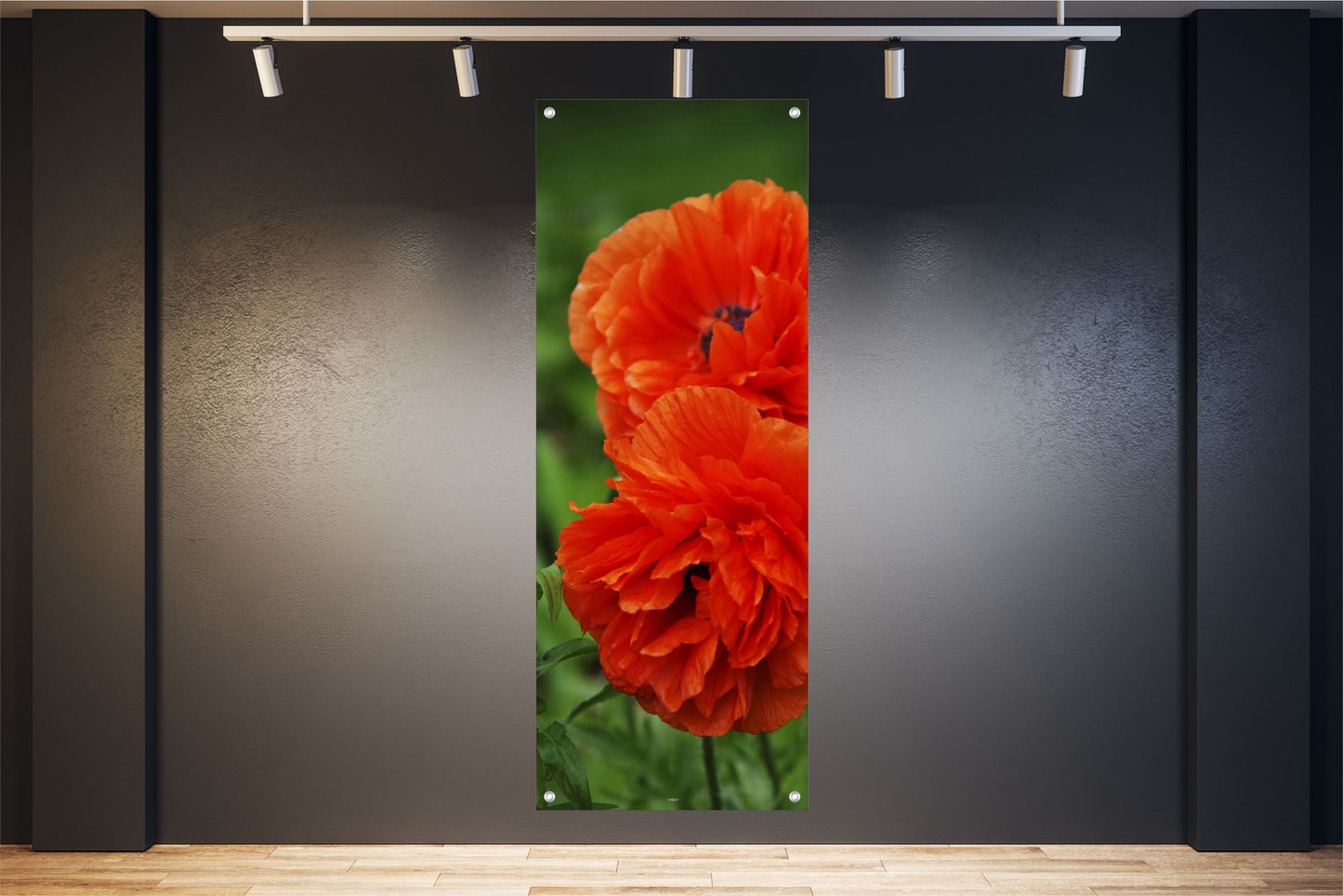 BLUMEN WANDBILDER POSTER DEKO BILDER XXL 60x160 MOHNBLUMEN BLÜTEN
