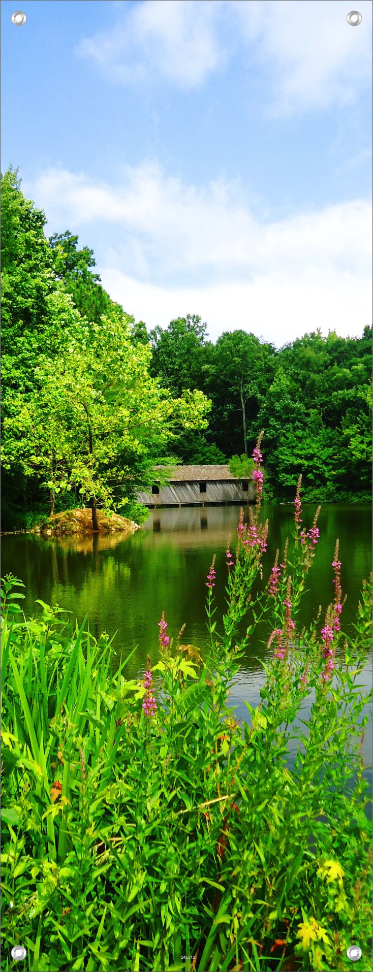LANDSCHAFT WANDBILDER POSTER DEKO BILDER XXL 60x160 WALD SEE NATUR