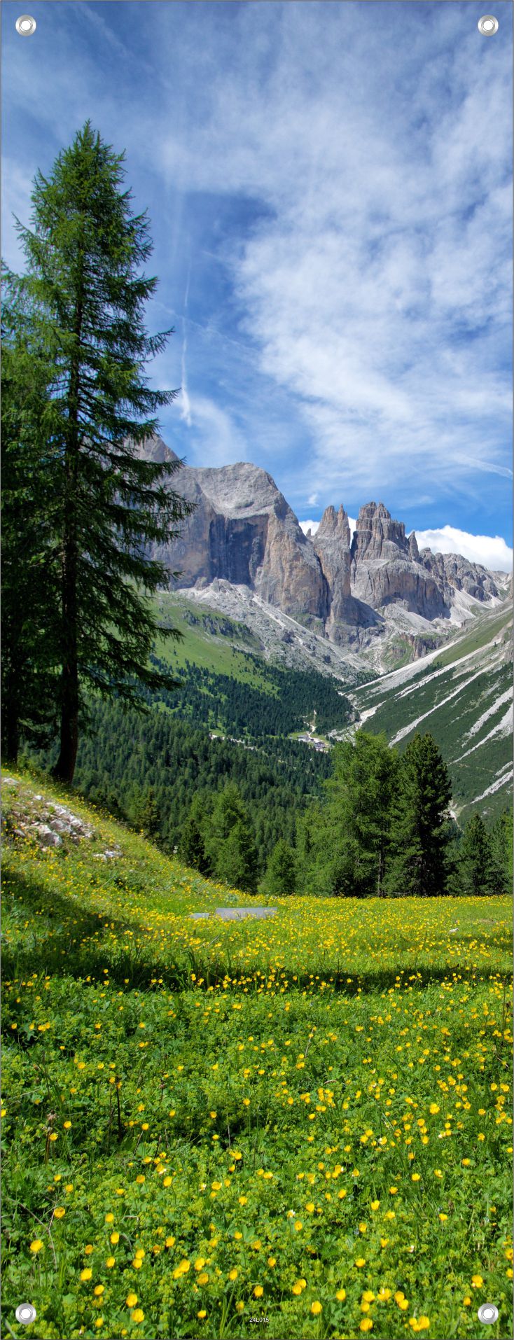 LANDSCHAFT WANDBILDER POSTER DEKO BILDER XXL 60x160 BERGE WIESE NATUR
