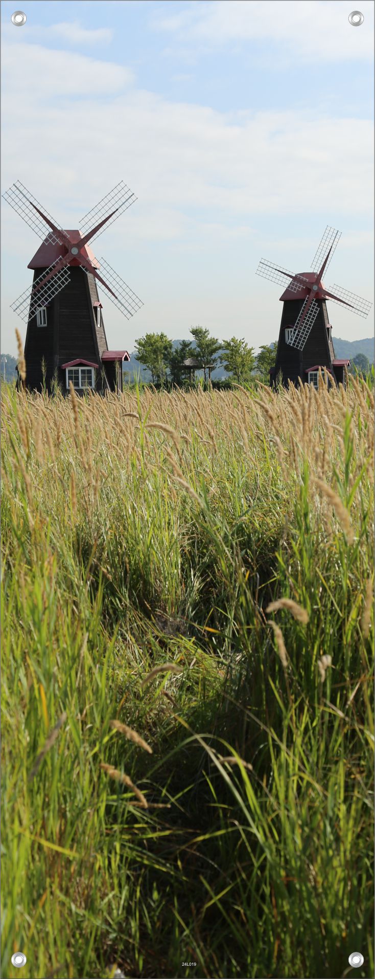 LANDSCHAFT WANDBILDER POSTER DEKO BILDER XXL 60x160 WINDMÜHLEN NATUR