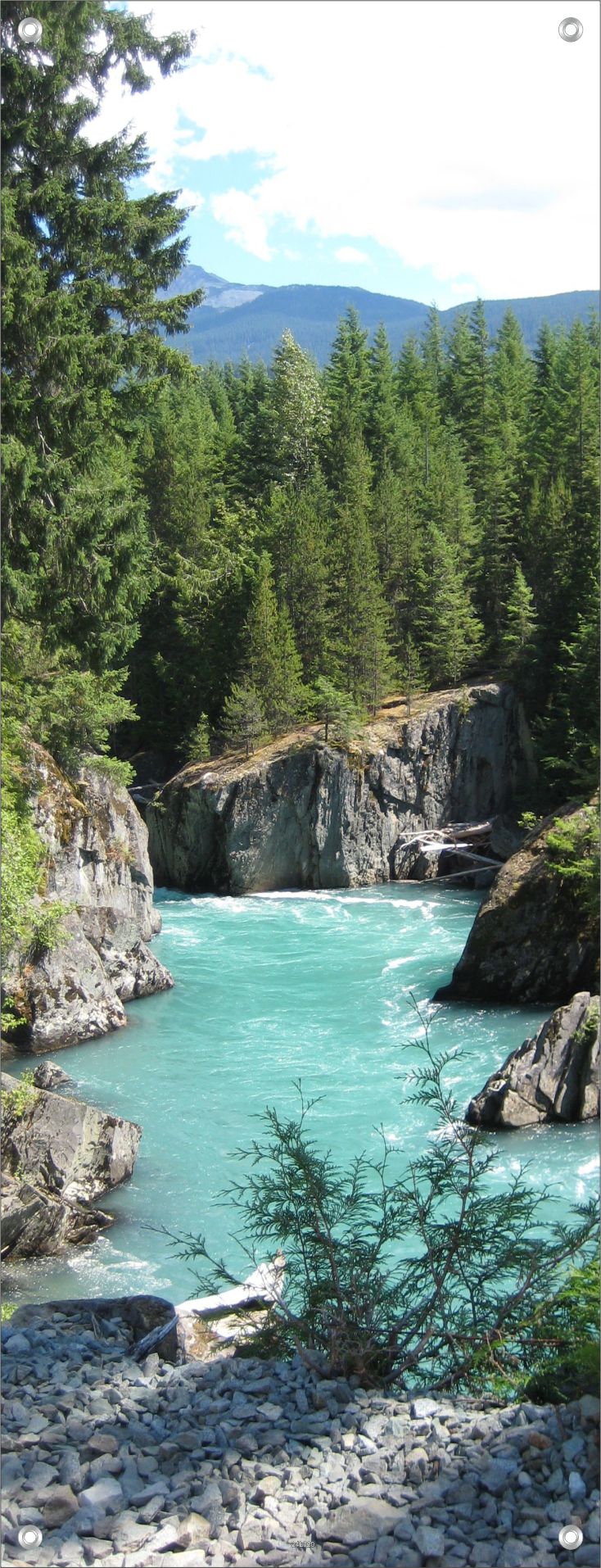 LANDSCHAFT WANDBILDER POSTER DEKO BILDER XXL 60x160 WALD FLUSS NATUR