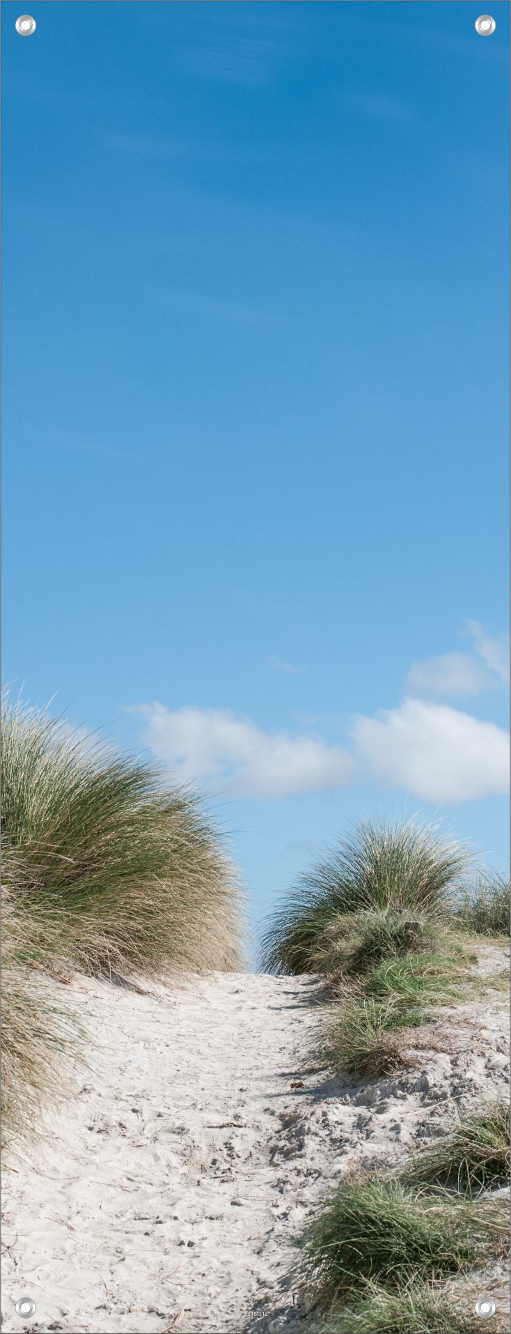 MEER WANDBILDER POSTER DEKO BILDER XXL 60x160 NATUR DÜNEN SAND
