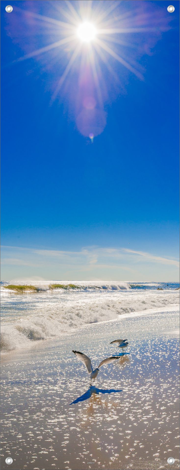 MEER WANDBILDER POSTER DEKO BILDER XXL 60x160 STRAND WELLEN MÖWEN