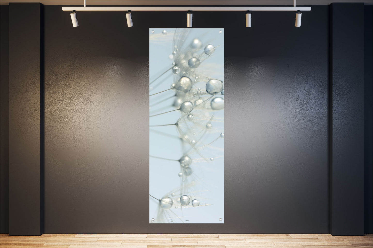 NATUR WANDBILDER POSTER DEKO BILDER XXL60x160 PUSTEBLUME REGENTROPFEN