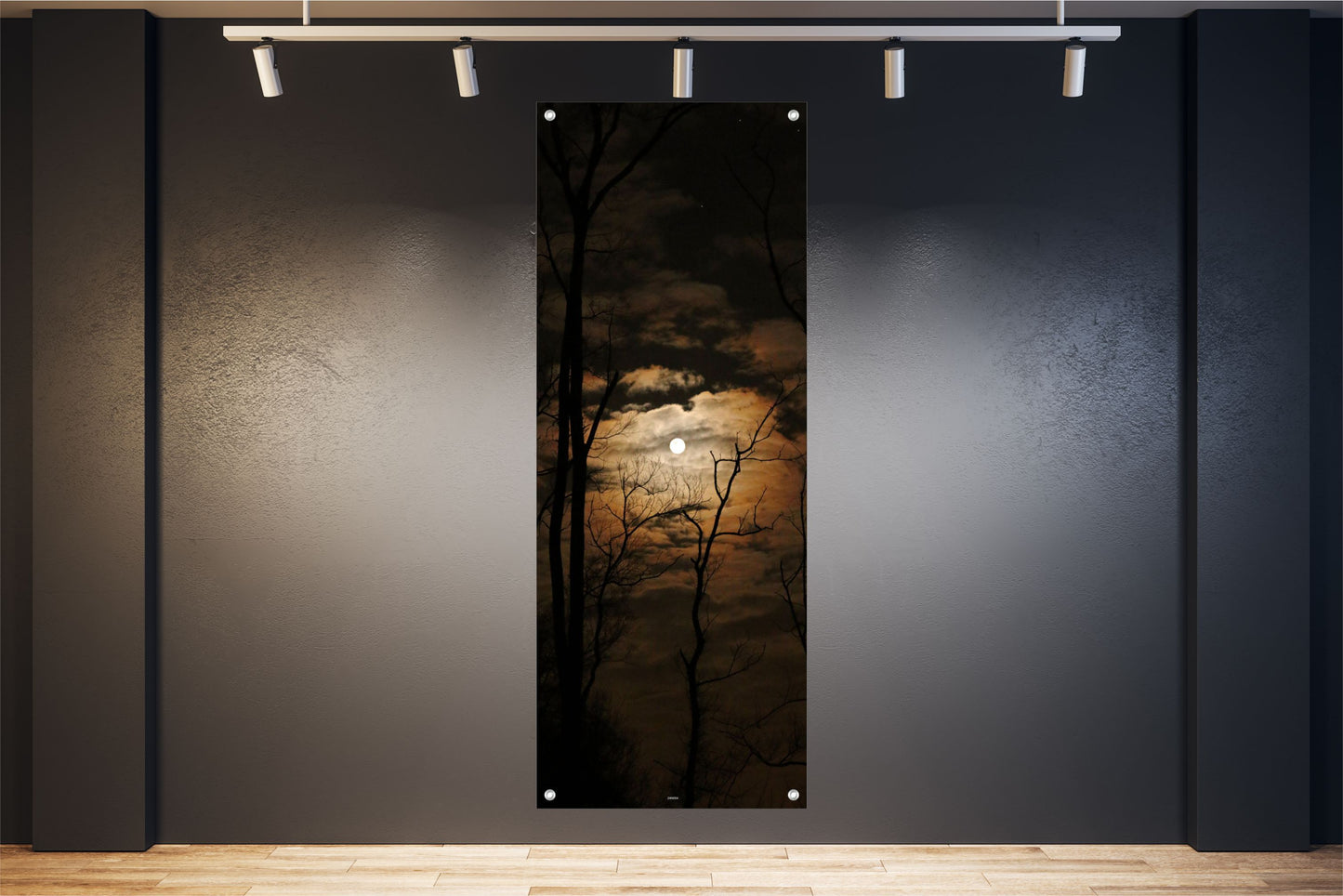NATUR WANDBILDER POSTER DEKO BILDER XXL60x160 LANDSCHAFT BAUM NACHT