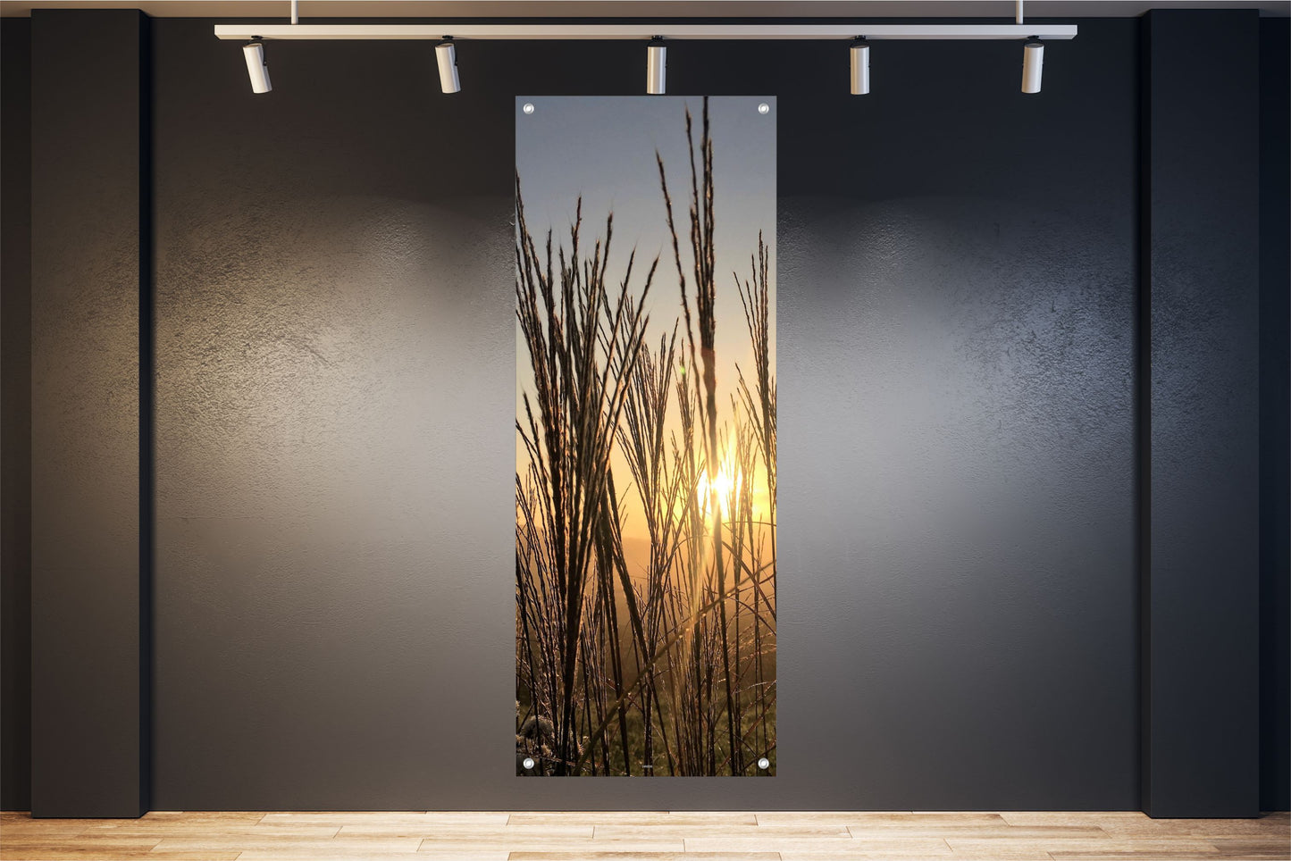 NATUR WANDBILDER POSTER DEKO BILDER XXL 60x160 GRÄSER LANDSCHAFT ABENDSONNE