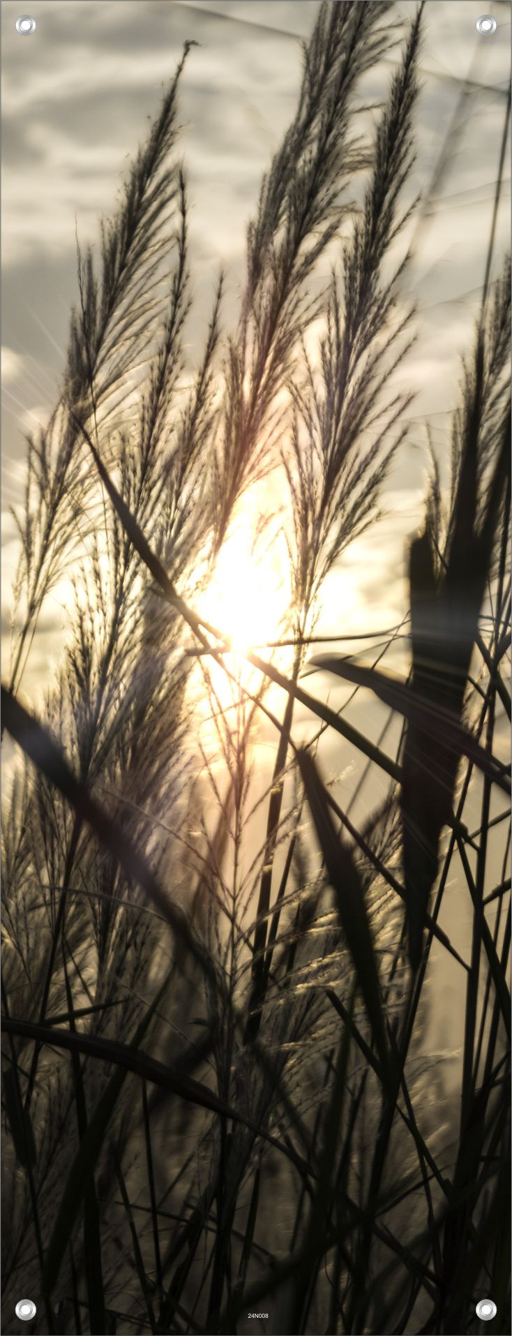 NATUR WANDBILDER POSTER DEKO BILDER XXL 60x160 LANDSCHAFT SONNENAUFGANG