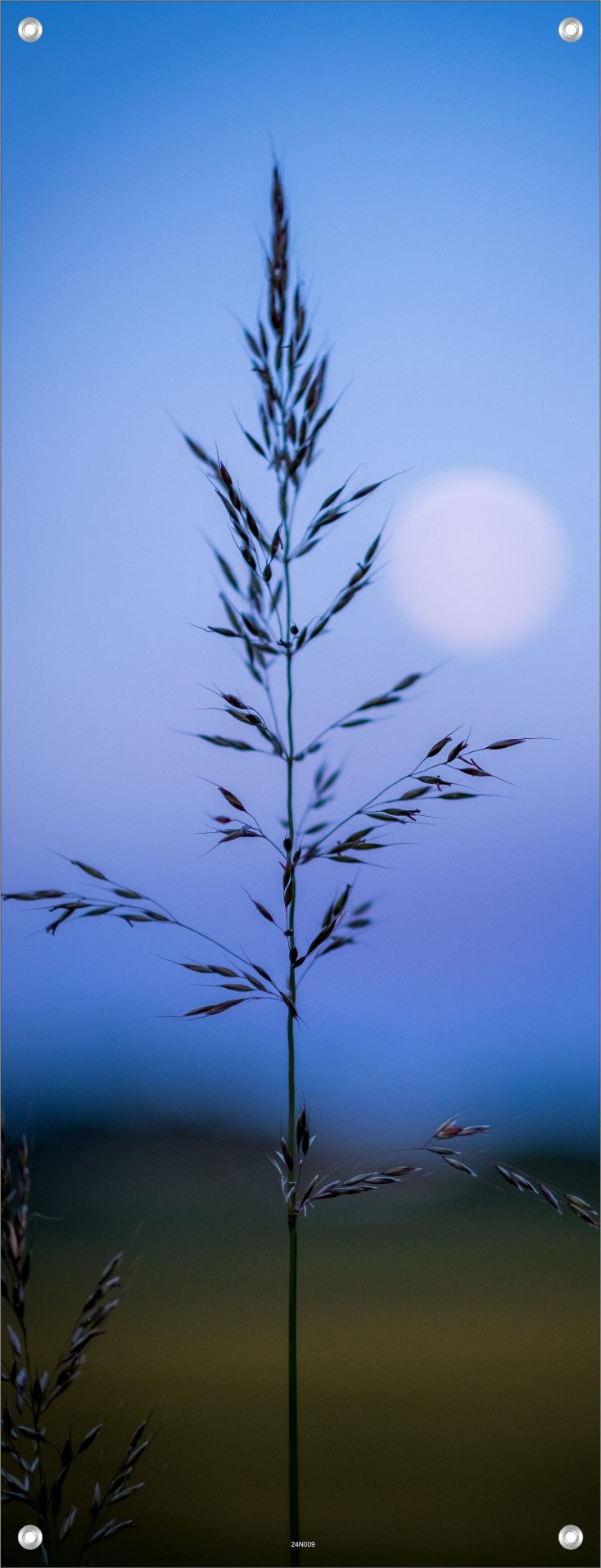NATUR WANDBILDER POSTER DEKO BILDER XXL 60x160 LANDSCHAFT NACHT MOND
