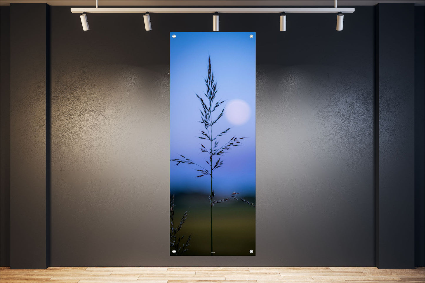 NATUR WANDBILDER POSTER DEKO BILDER XXL 60x160 LANDSCHAFT NACHT MOND