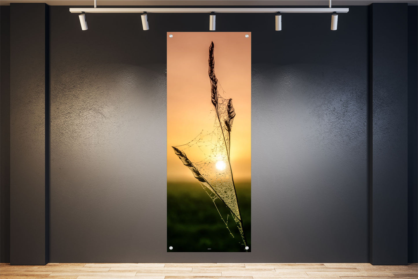 NATUR WANDBILDER POSTER DEKO BILDER XXL 60x160 SONNENAUFGANG PFLANZE