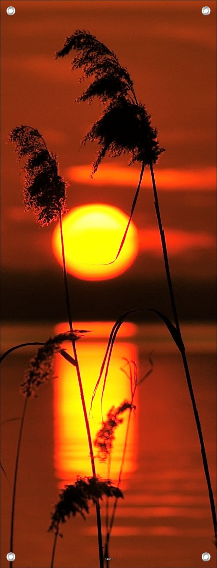 NATUR WANDBILDER POSTER DEKO BILDER XXL 60x160 LANDSCHAFT SEE GRÄSER