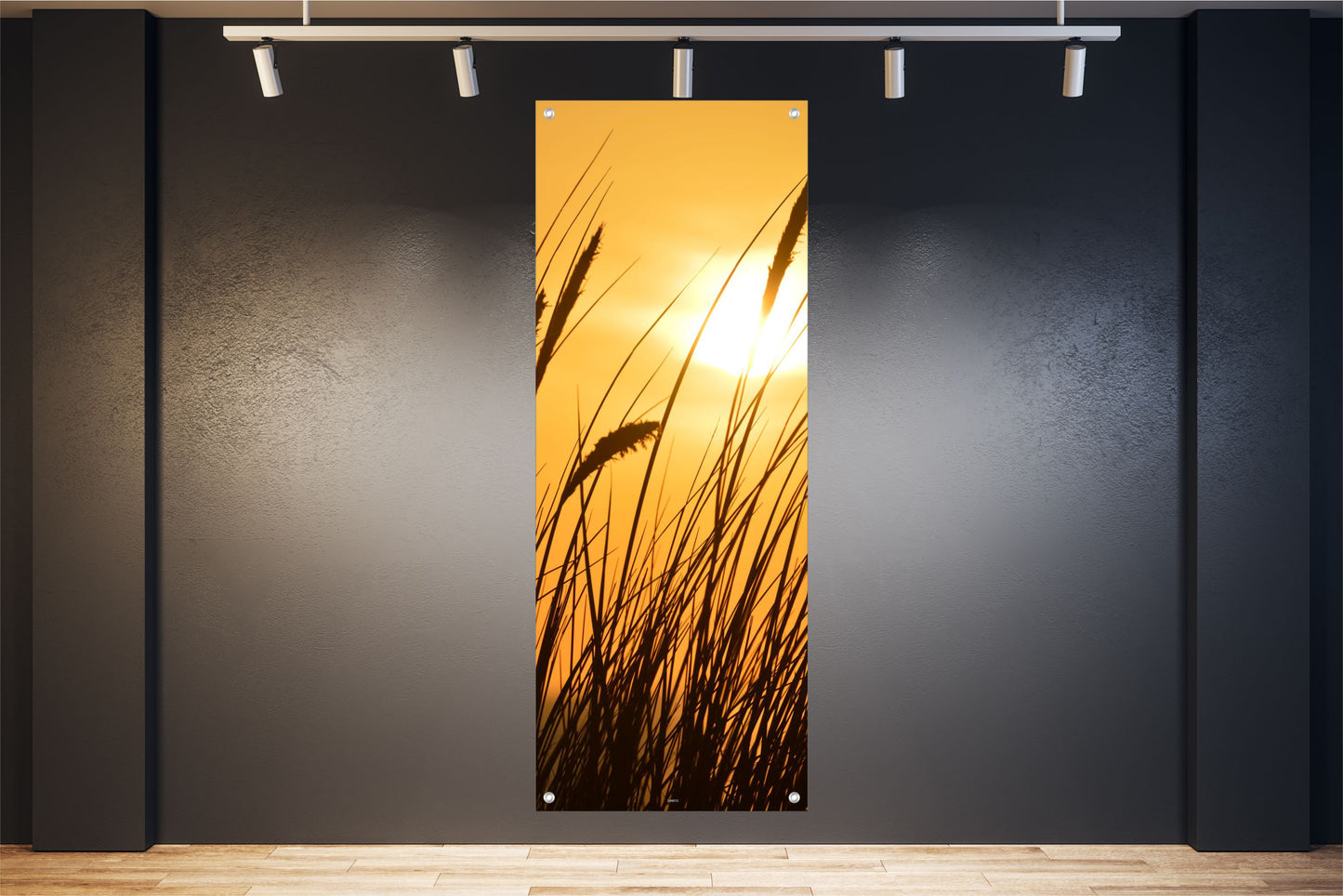 NATUR WANDBILDER POSTER DEKO BILDER XXL 60x160 GRÄSER SONNE LANDSCHAFT