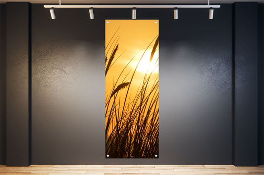 NATUR WANDBILDER POSTER DEKO BILDER XXL 60x160 GRÄSER SONNE LANDSCHAFT