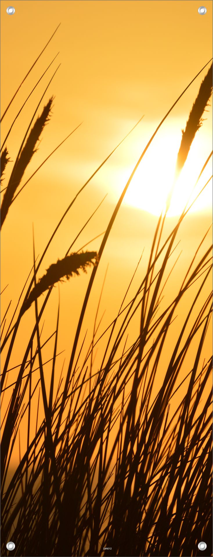 NATUR WANDBILDER POSTER DEKO BILDER XXL 60x160 GRÄSER SONNE LANDSCHAFT