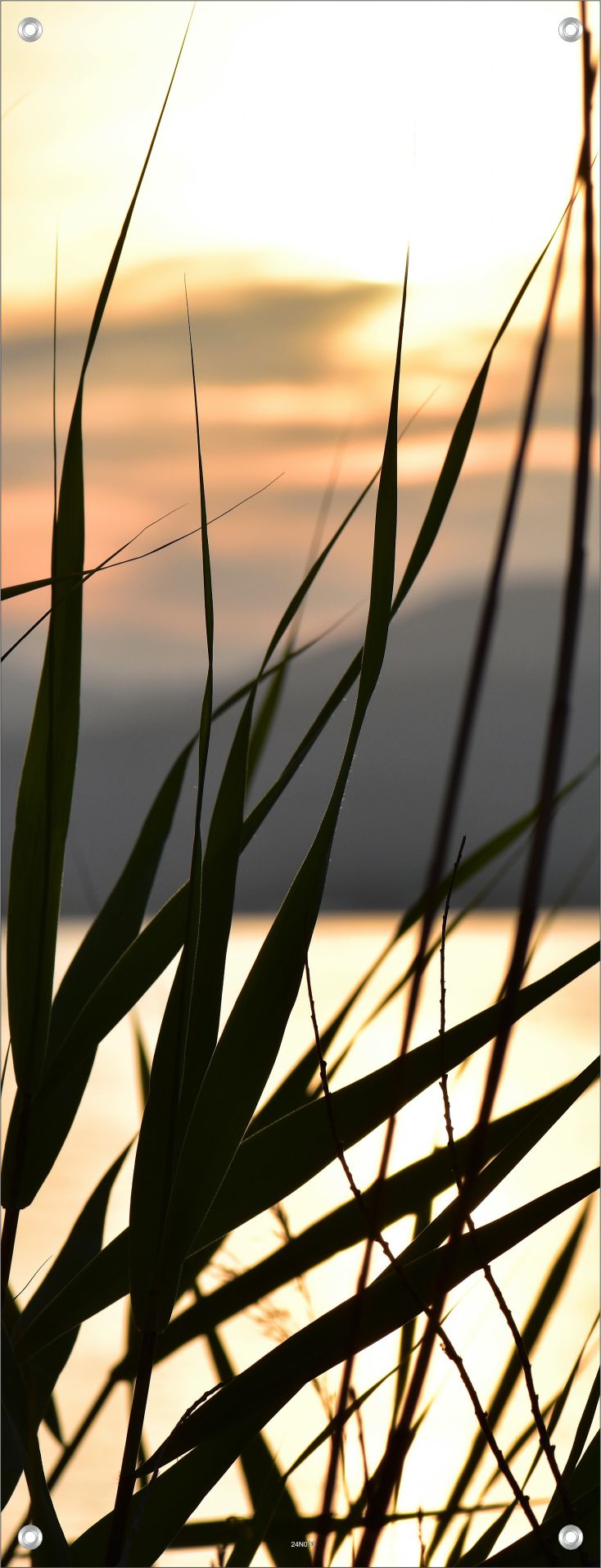 NATUR WANDBILDER POSTER DEKO BILDER XXL 60x160 LANDSCHAFT ABENDHIMMEL GRÄSER