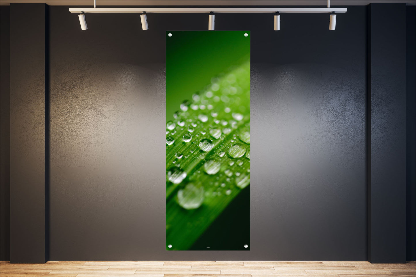 NATUR WANDBILDER POSTER DEKO BILDER XXL 60x160 GRASHALM REGENTROPFEN