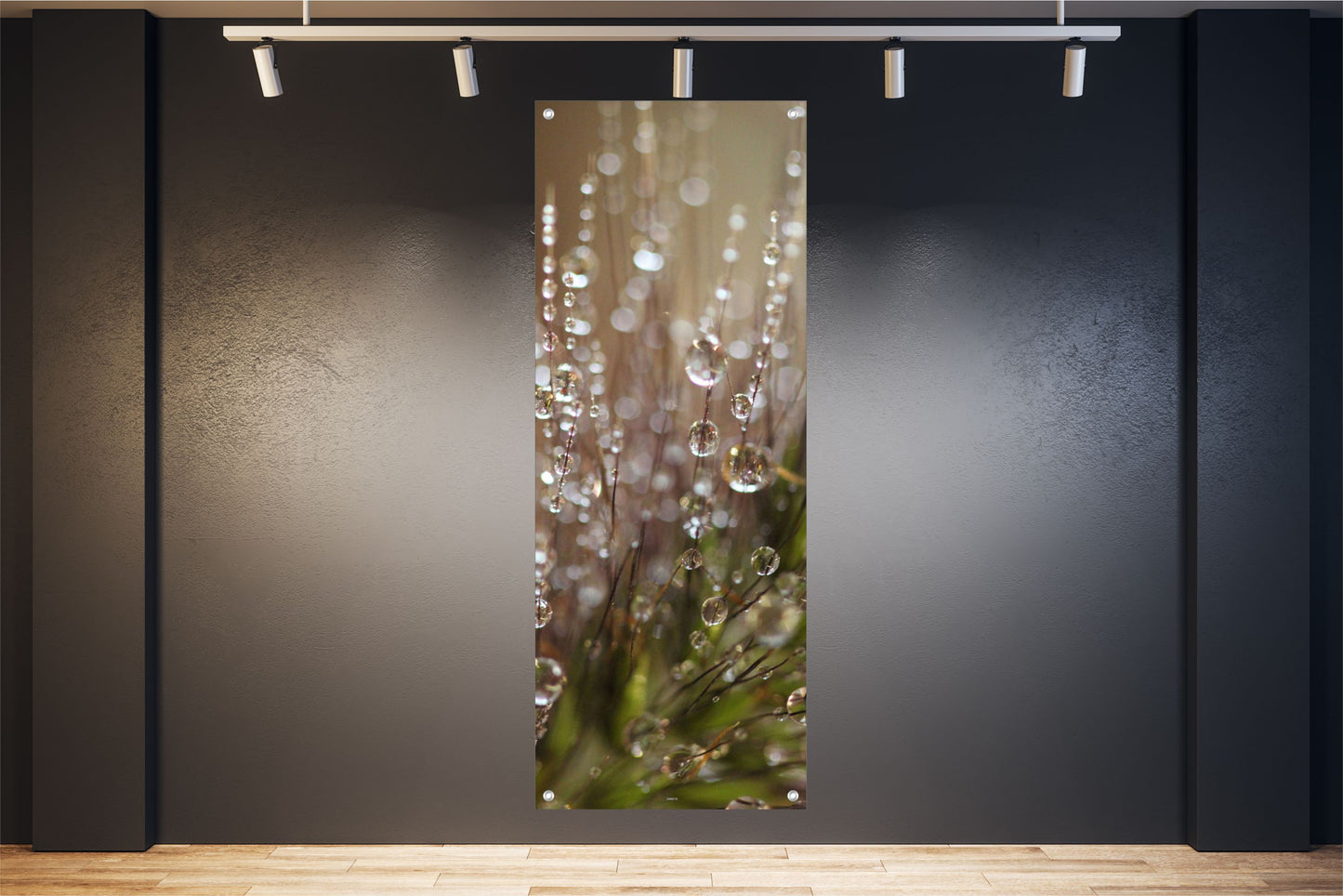 NATUR WANDBILDER POSTER DEKO BILDER XXL 60x160 PUSTEBLUME PFLANZE TAUTROPFEN