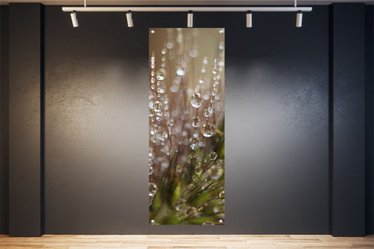 NATUR WANDBILDER POSTER DEKO BILDER XXL 60x160 PUSTEBLUME PFLANZE TAUTROPFEN
