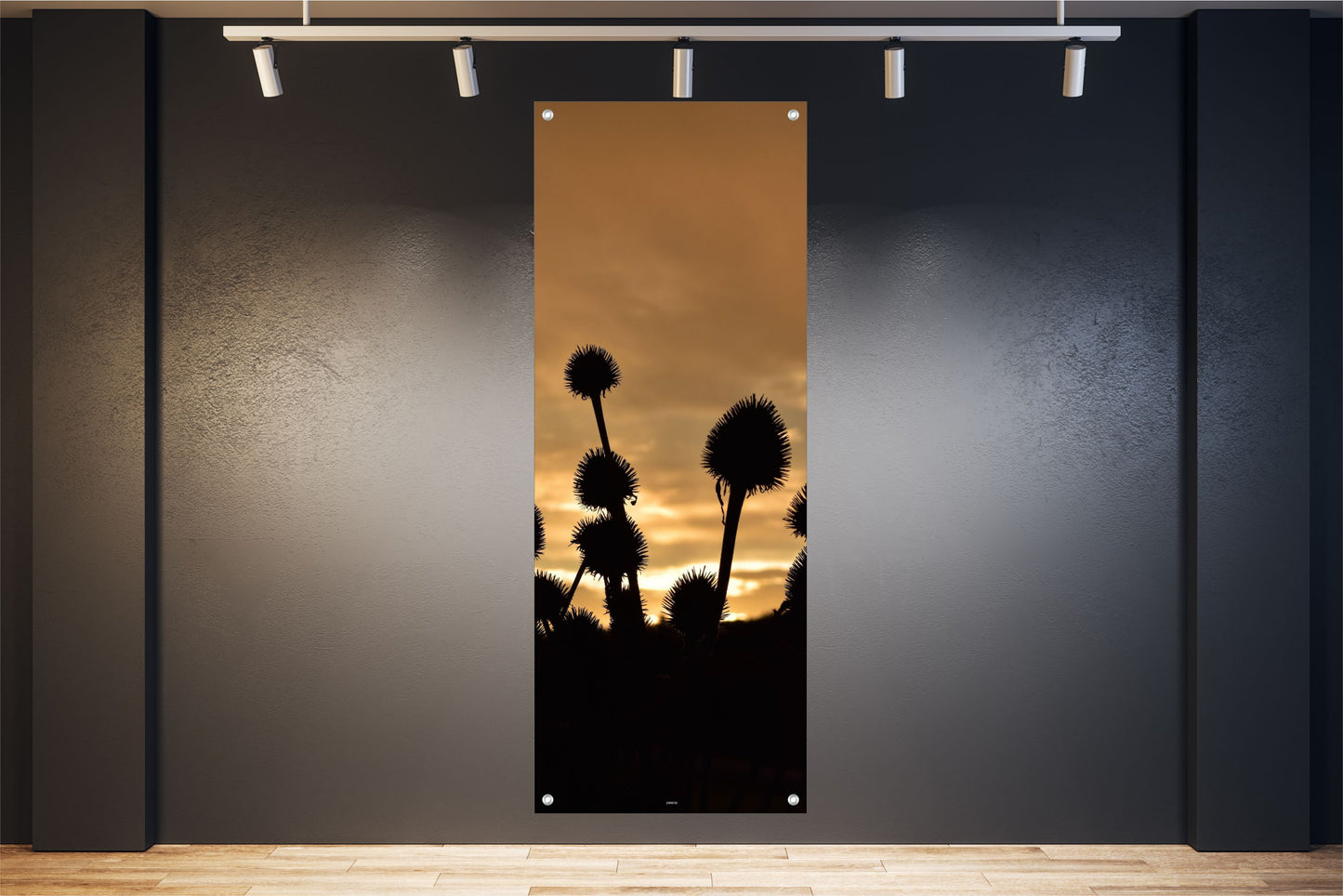 NATUR WANDBILDER POSTER DEKO BILDER XXL 60x160 DISTELN SONNENUNTERGANG