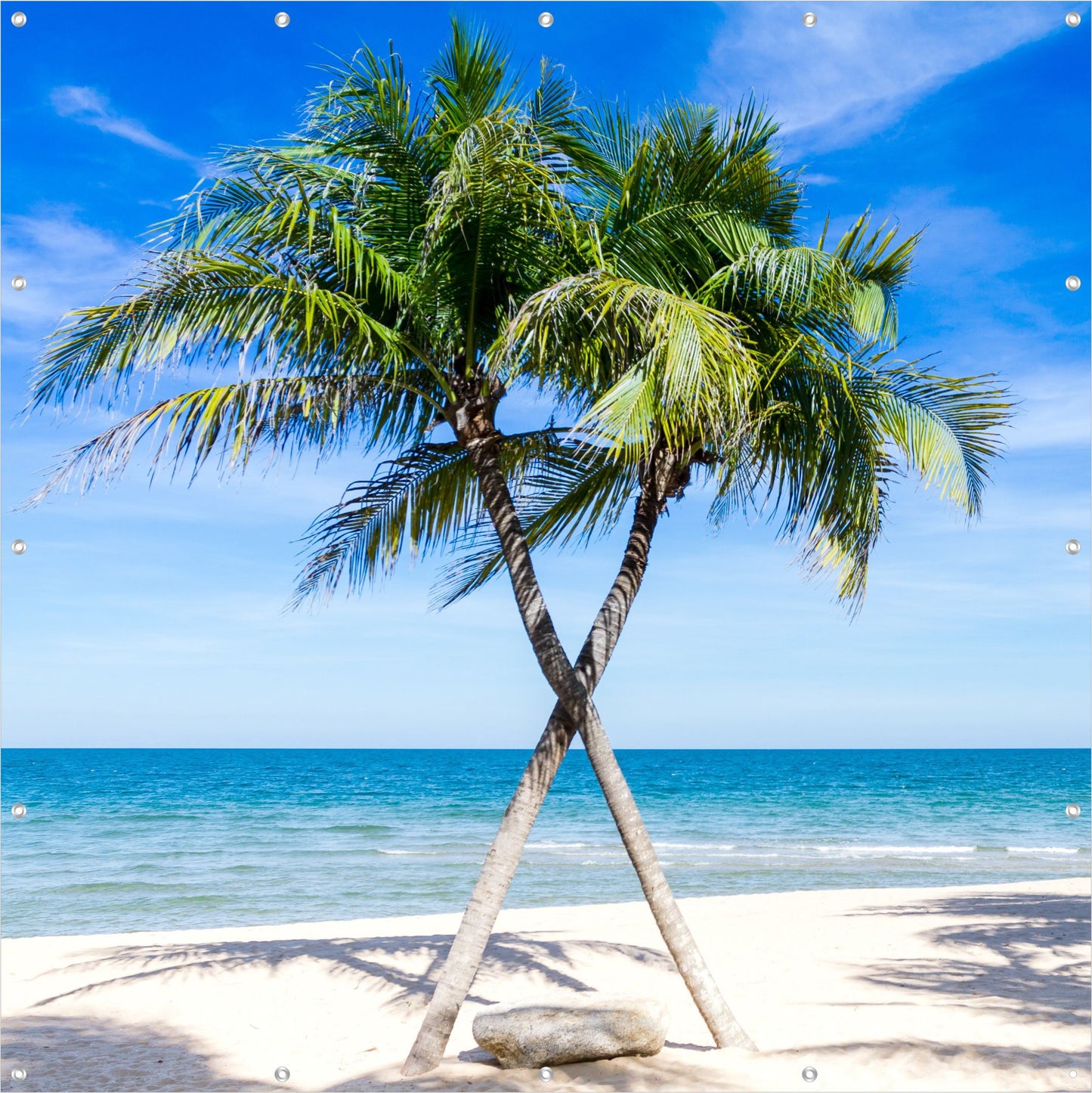 Outdoor Bild Banner Außen Gartenposter Wetterfest 180x180 cm Palmen Meer Strand