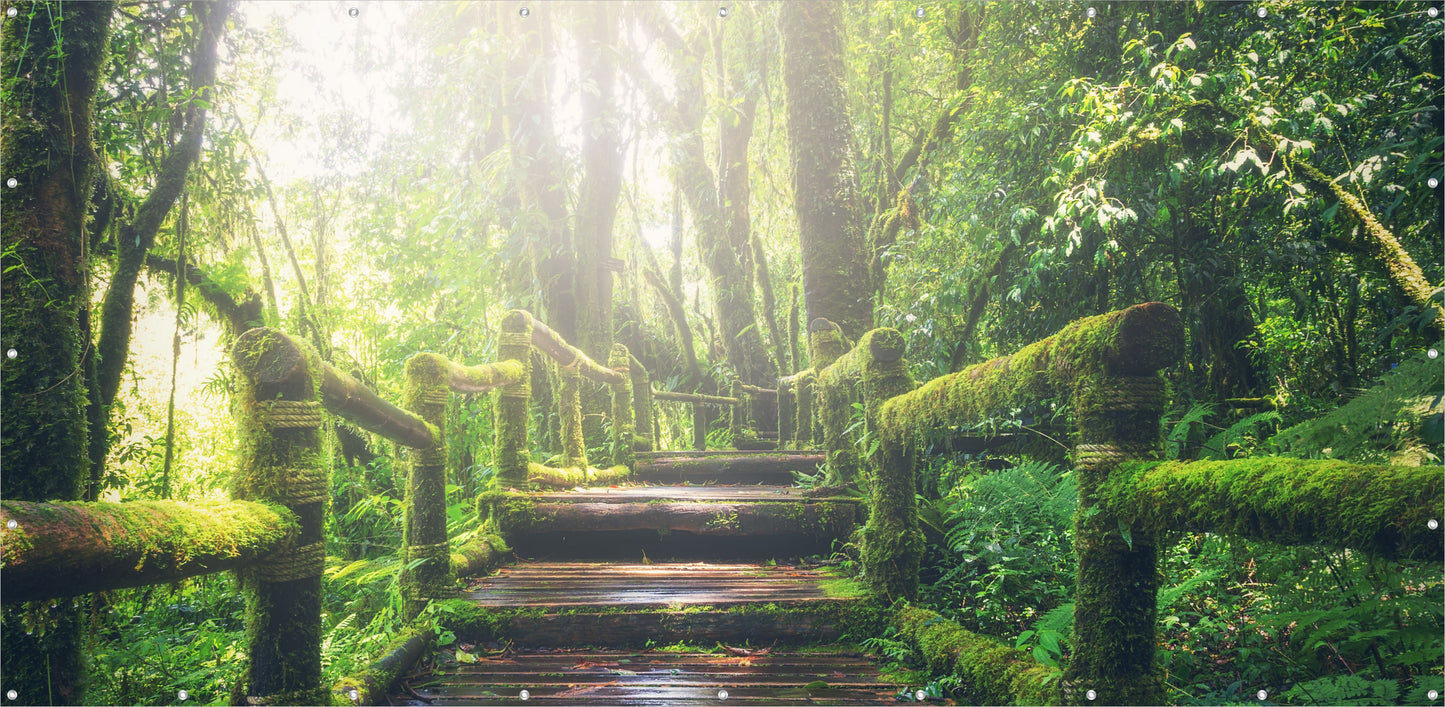 Outdoor Bild Banner Außen Gartenposter wetterfest 370x180 cm Holztreppe Wald Natur