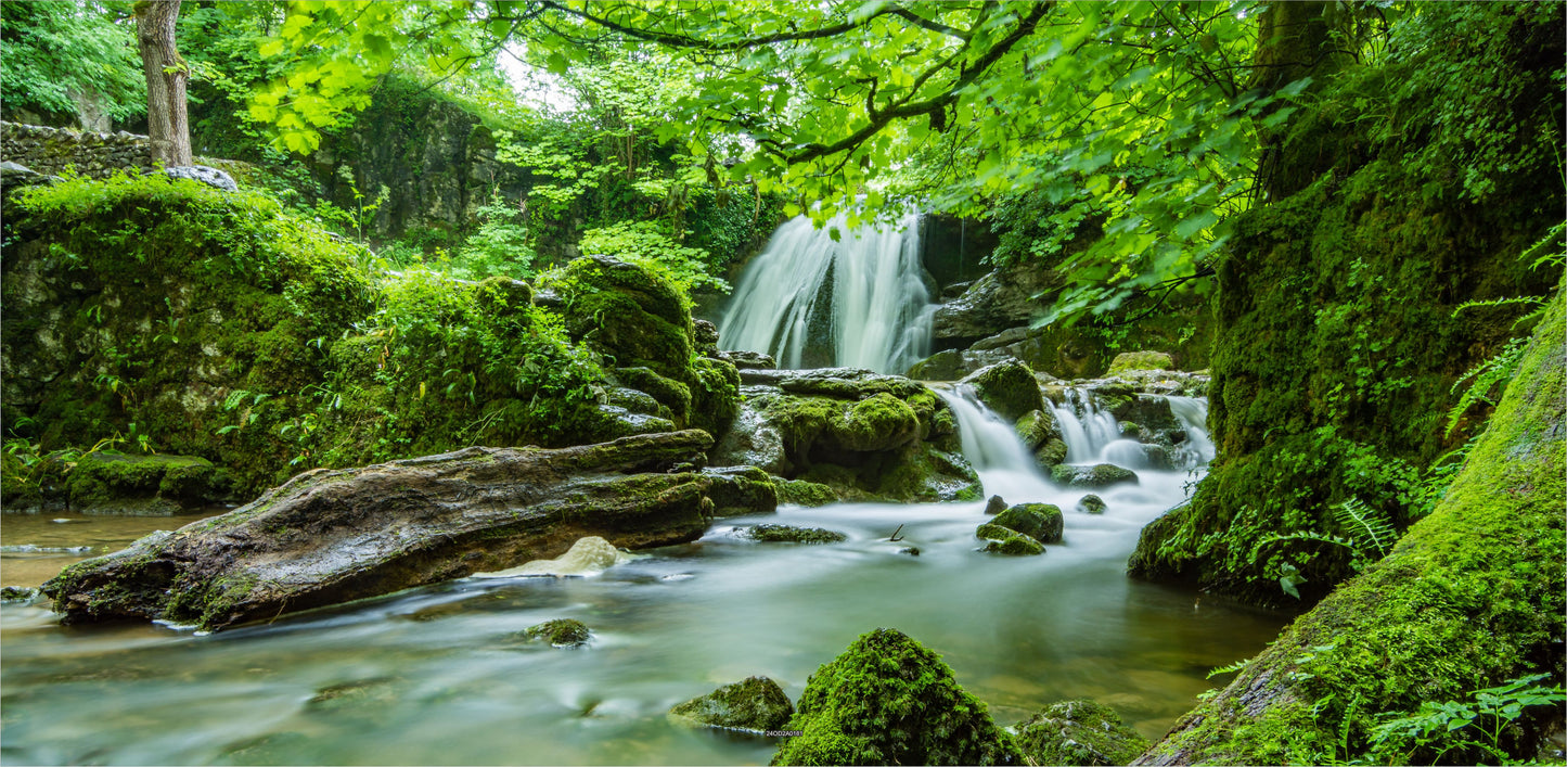 Outdoor Bild Banner Außen Gartenposter wetterfest 370x180 cm Wald Wasserfall Landschaft