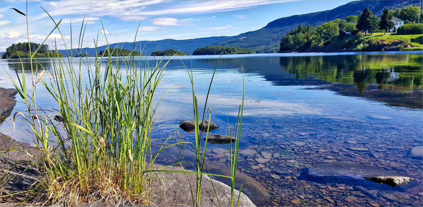 Outdoor Bild Banner Außen Gartenposter wetterfest 370x180 See Ufer Landschaft Natur