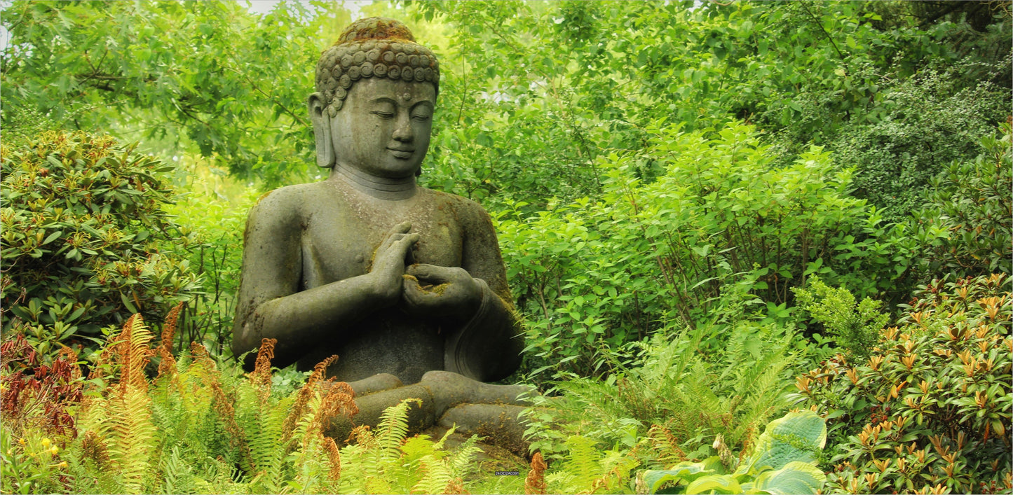 Outdoor Bild Banner Außen Gartenposter wetterfest 370x180 Garten Buddha Pflanzen