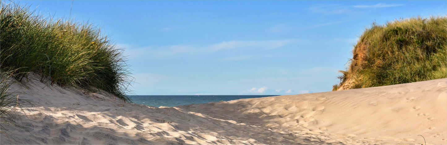 Outdoor Bild Banner Außen Gartenposter wetterfest 560x180 Dünen Natur Meer