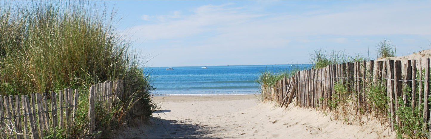 Outdoor Bild Banner Außen Gartenposter wetterfest 560x180 Dünenstrand Meer Natur