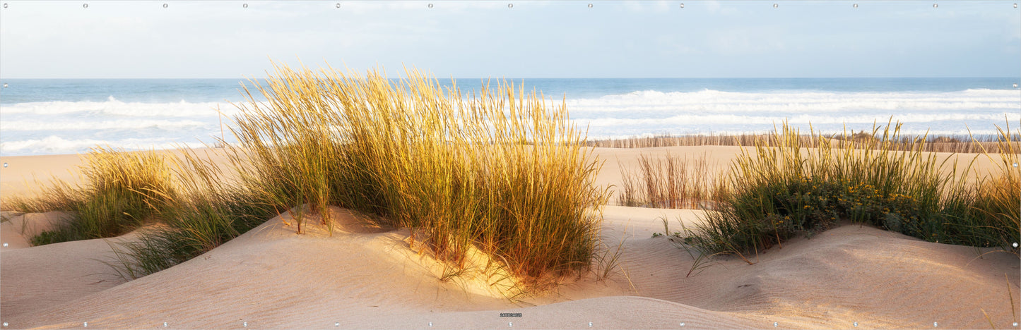 Outdoor Bild Banner Außen Gartenposter wetterfest 560x180 Naturstrand Meer Dünen