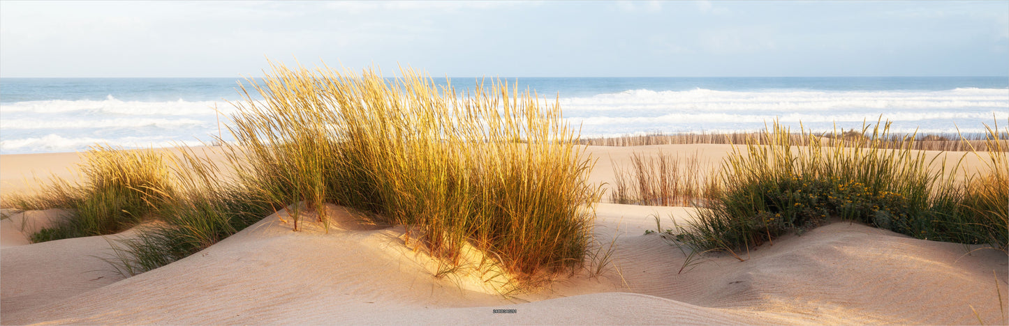 Outdoor Bild Banner Außen Gartenposter wetterfest 560x180 Naturstrand Meer Dünen