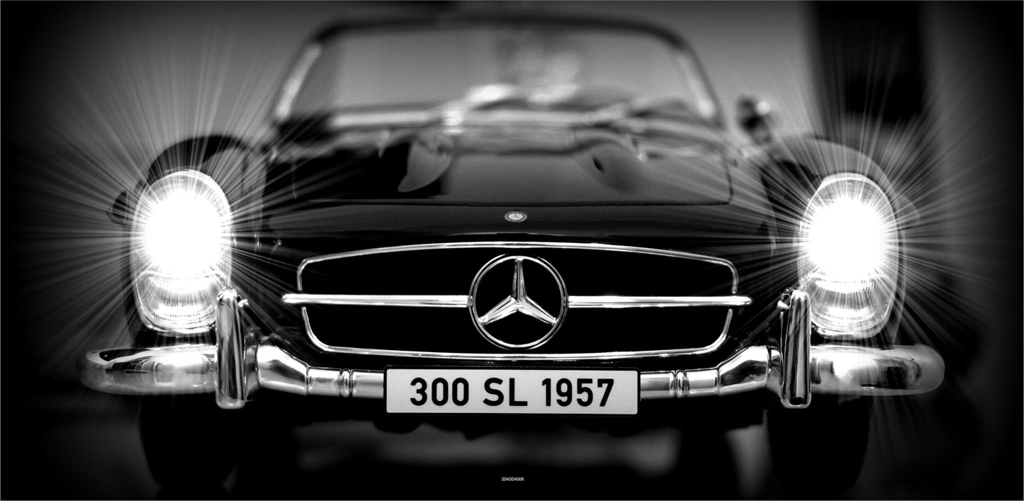OUTDOOR BILD BANNER GARTENPOSTER WETTERFEST 370x180 AUTO MERCEDES 300SL