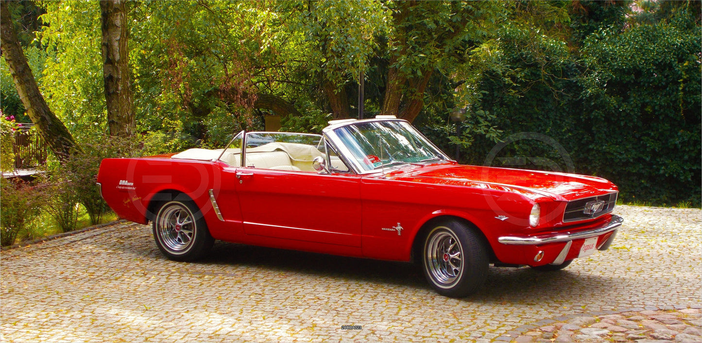 OUTDOOR BILD BANNER GARTENPOSTER WETTERFEST 370x180 AUTO MUSTANG CABRIOLET