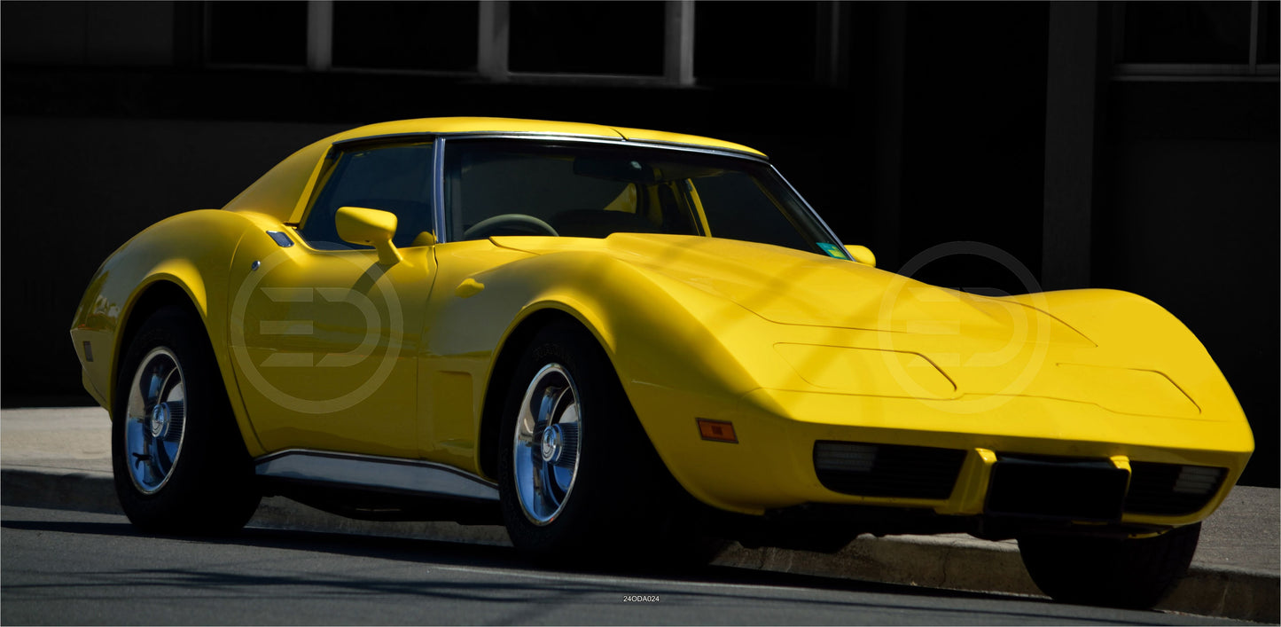 OUTDOOR BILD BANNER GARTENPOSTER WETTERFEST 370x180 AUTO OLDTIMER CORVETTE