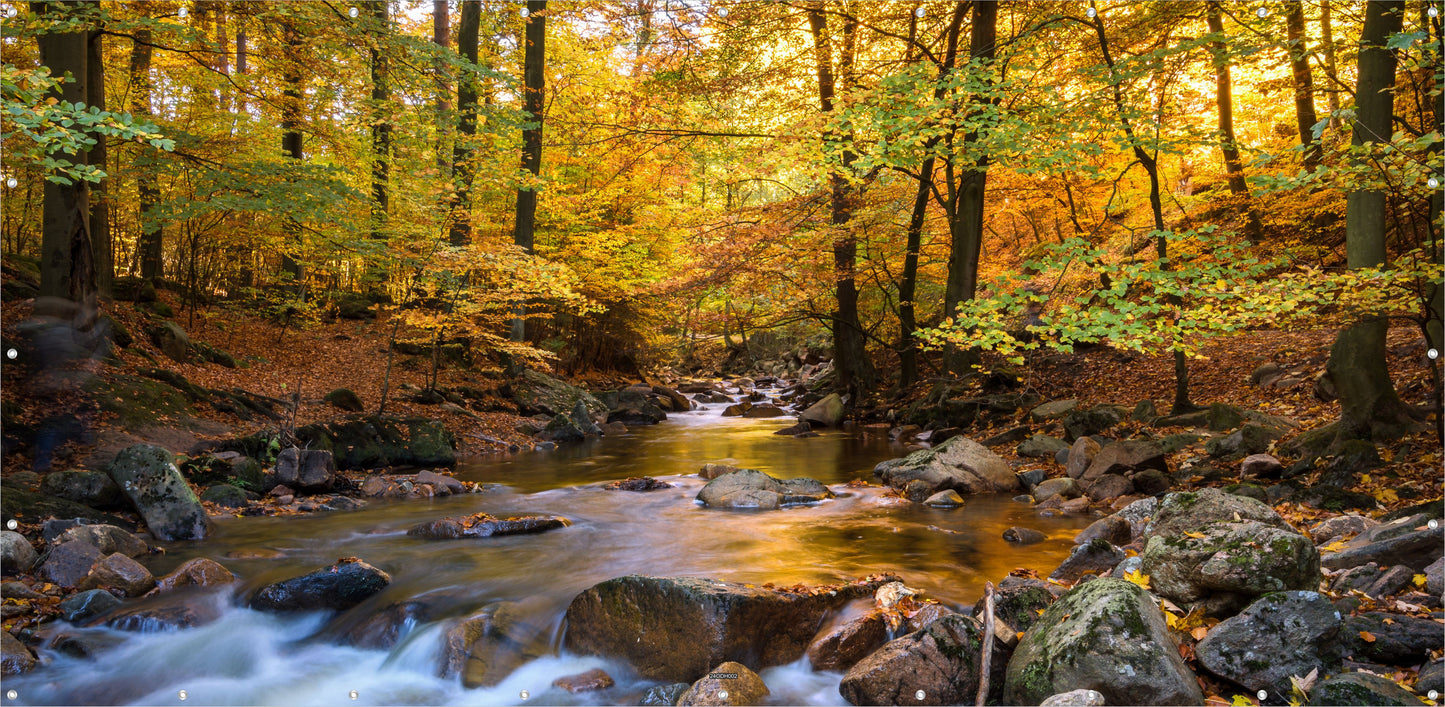 Outdoor Bild Banner Außen Gartenposter Wetterfest 370x180 Herbst Wald Wasserlauf