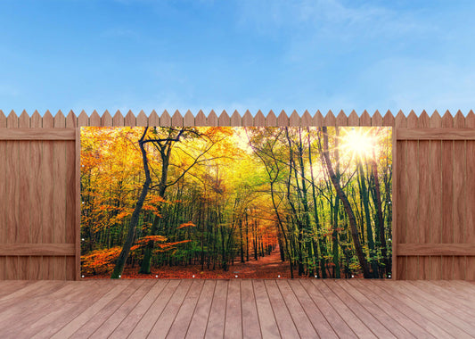 Outdoor Bild Banner Außen Gartenposter Wetterfest 370x180 Herbst Wald Sonne