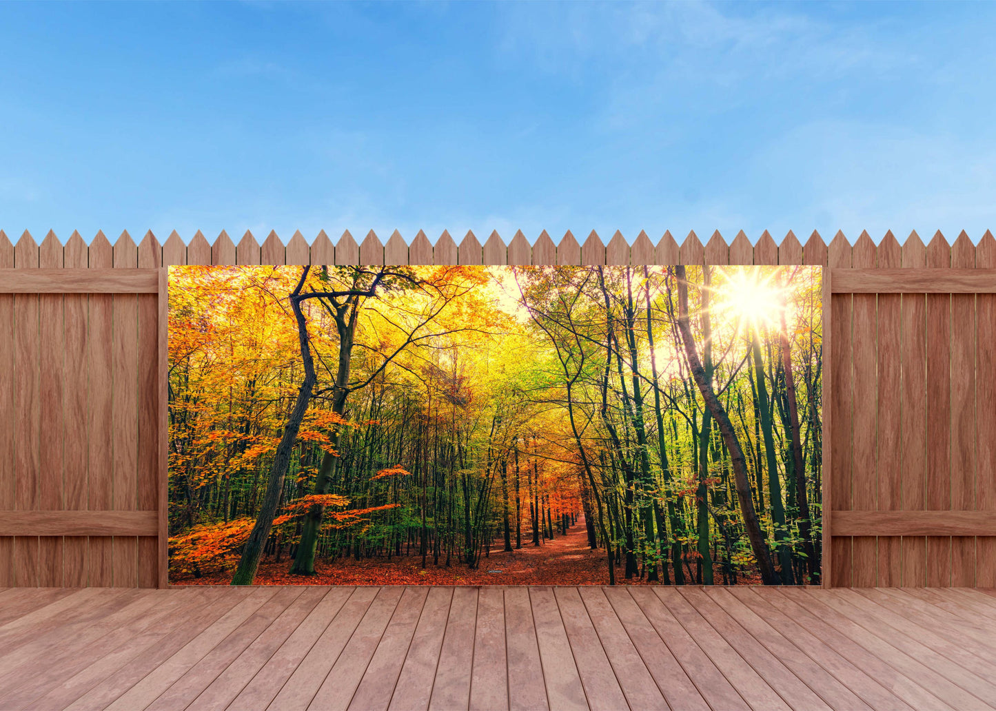 Outdoor Bild Banner Außen Gartenposter Wetterfest 370x180 Herbst Wald Sonne