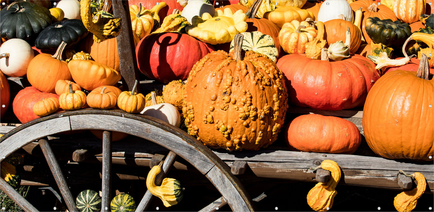 Outdoor Bild Banner Außen Gartenposter Wetterfest 370x180 Herbst Kürbisse Holzwagen