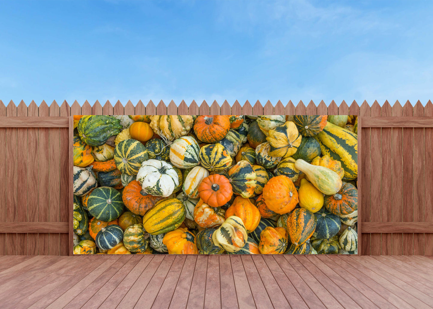 Outdoor Bild Banner Außen Gartenposter Wetterfest 370x180 Herbst Kürbisse Natur