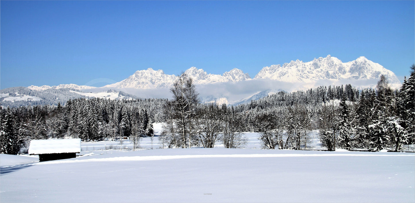 Outdoor Bild Banner Außen Gartenposter wetterfest 370x180 Winter Landschaft Wald