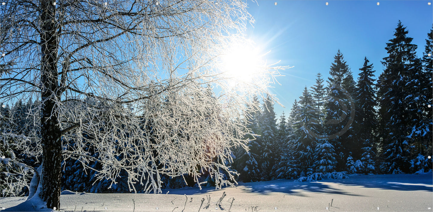 Outdoor Bild Banner Außen Gartenposter wetterfest 370x180 Winter Landschaft Sonne