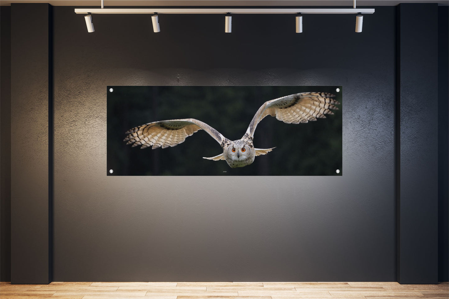 TIER WANDBILDER POSTER DEKO BILDER XXL 160x60 WALDTIER EULE VOGEL